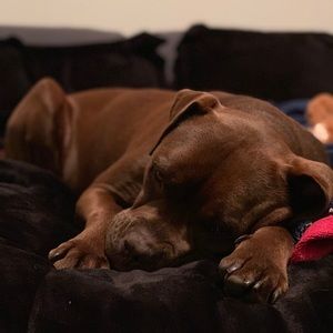 Meet your Posher, Tripp